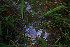 How Much Does An Environmental Site Assessment Cost?