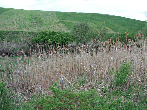 EPA Superfund Sites: Getting Named as a Potential Responsible Parties