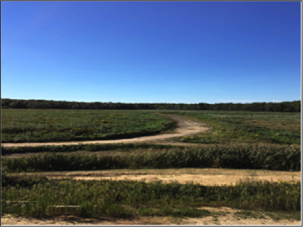Innovative Closure of Residual Waste Lagoon Restores Site and Establishes Natural Habitat