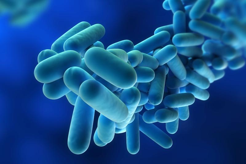 Cooling Tower and Evaporative Coolers Issues – What You Need to Know about Legionella Compliance in New York State