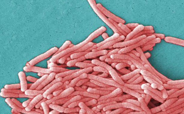 Recent Legionella-related Incidents in New York City