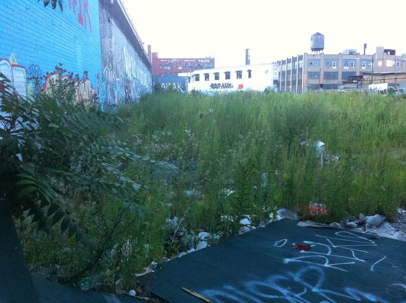What is the NYSDEC Brownfield Cleanup Program, and How Can I Get Involved?