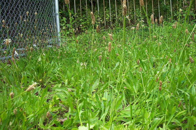 Understanding Tax Credits in the New York State Brownfield Cleanup Program