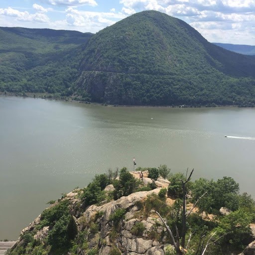 PCBs Pollution and the Hudson River