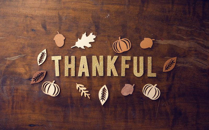 Thank You and Happy Thanksgiving from Walden!
