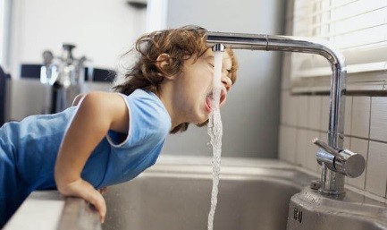 Home Water Quality: How to Find Valuable Data About Your Domestic Water Supply