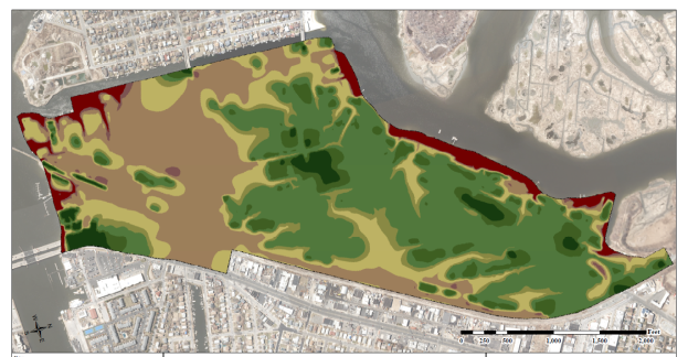 Community Rating System (CRS) Application and Repetitive Loss Area Analysis (RLAA), Long Island