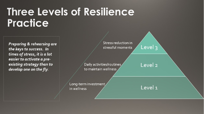 Walden Pleased to host Dr. Amy Nitza presenting “Building and Sustaining Personal and Professional Resilience”