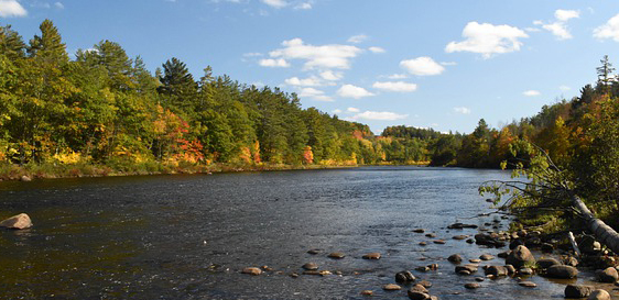 DEC Announces Availability of Grant Funding to Improve Water Quality, Bolster Resiliency in Estuaries