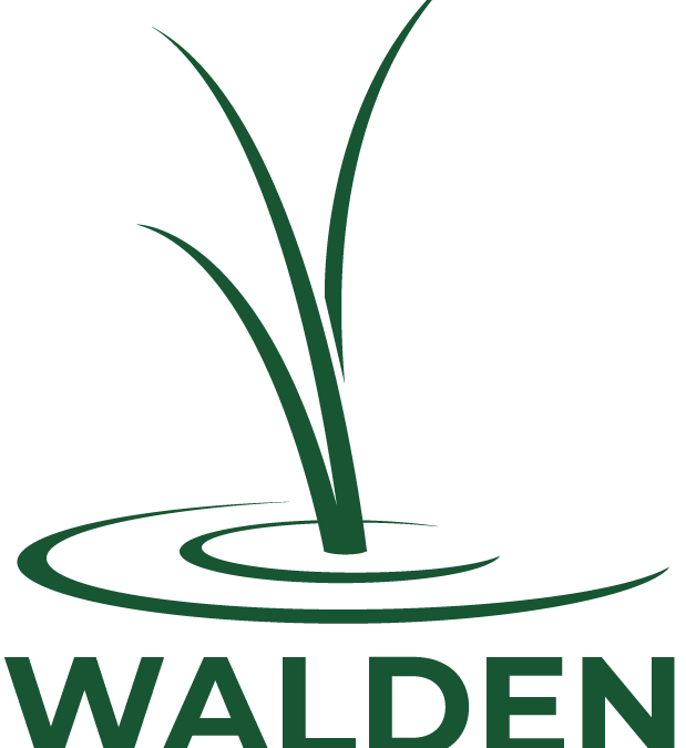 Brownfields Cleanup Program Application and Remedial Plan, Nassau County, NY