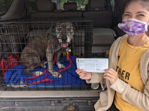 Handsome Dan’s Dog Rescue