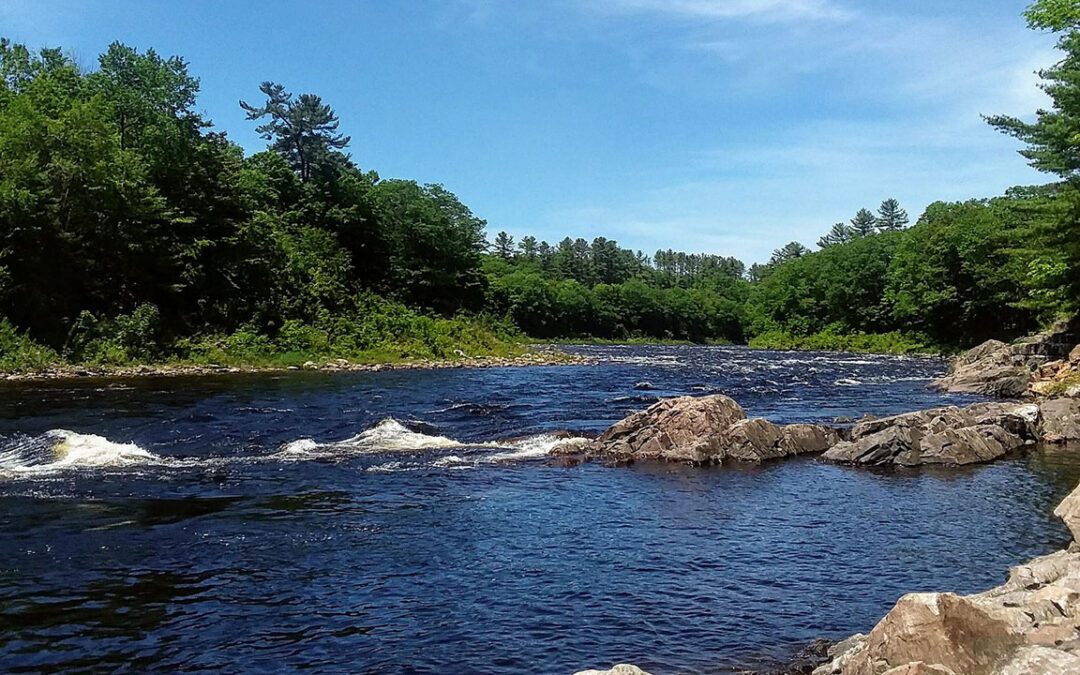 Grant Funding Available for the Hudson River Estuary Program