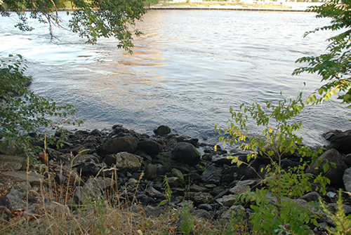 Supreme Court Limits EPA’s Authority to Regulate Wetlands