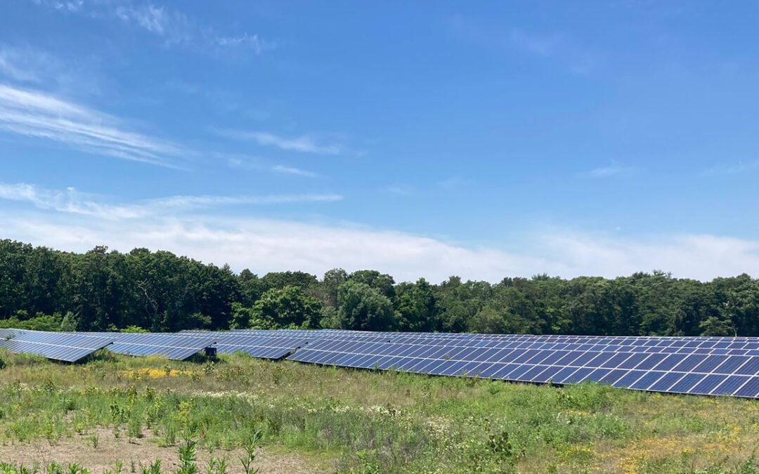 What Tips and Tools Are Available to Help You Build a Sustainable Operation?