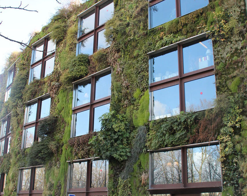 Your Guide to Creating Sustainable Operations, Part Two: Getting Started