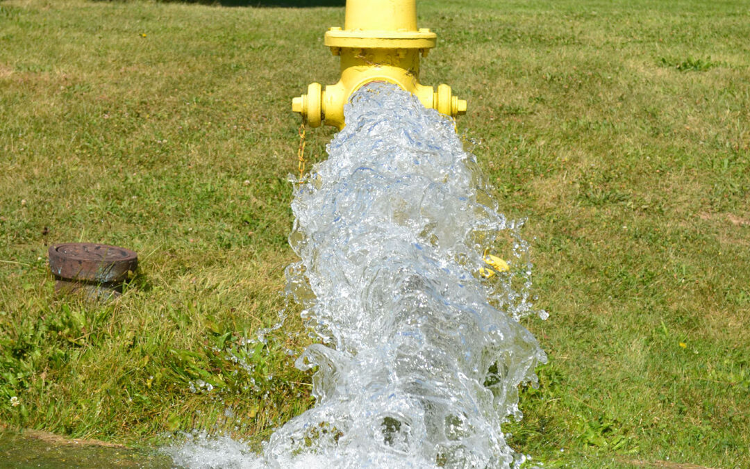 Celebrating Safe Water in Fort Wayne, Indiana