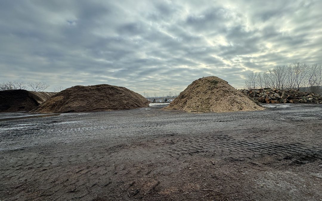 Are You Required to File a Solid Waste Annual Report?
