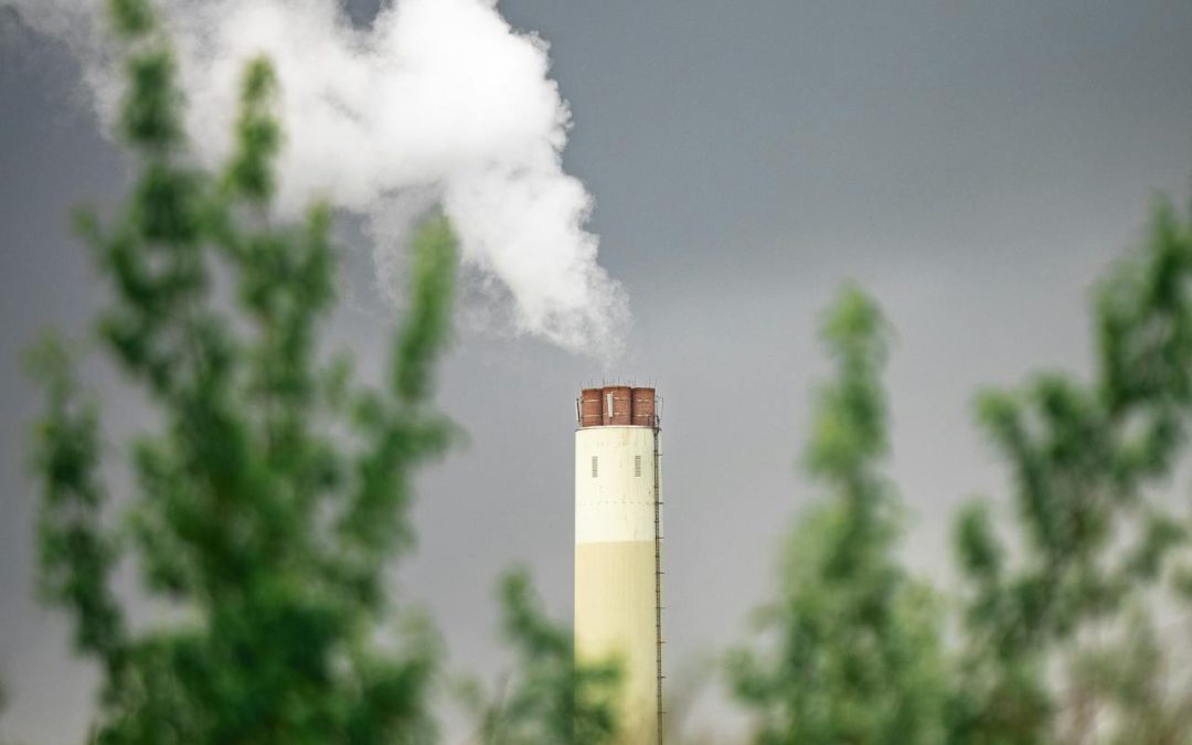 Everything You Need to Know About Smoke School