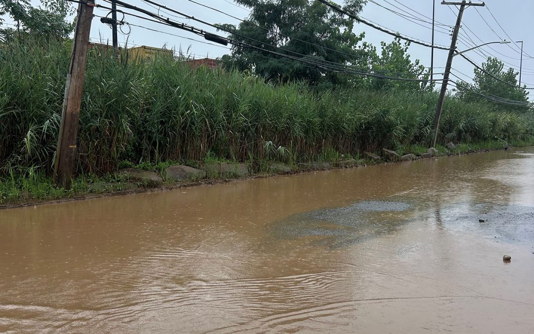 NYSDEC Issues Updated Stormwater Management Design Manual