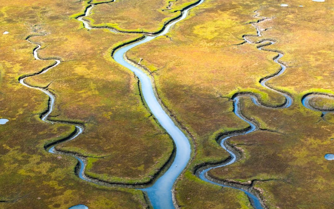 NYC DEP Revises Wetlands Definition Rule