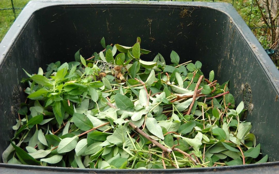 NYS and NYC Strengthen Food Waste Reduction Efforts