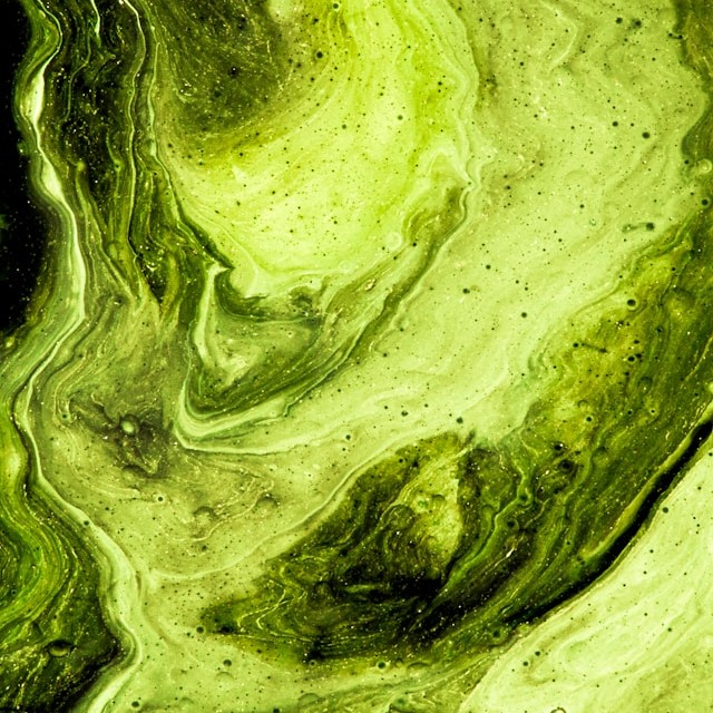 Comment on NY’s Draft Phosphorus Guidance Levels by 3/11/25