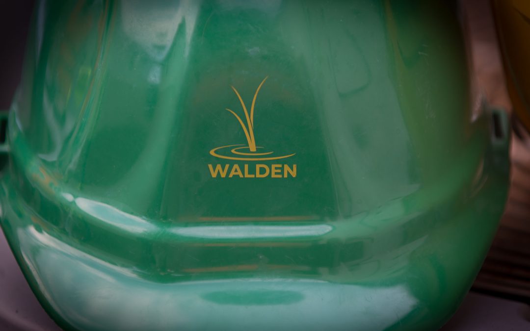 Four Walden Staff Promoted!