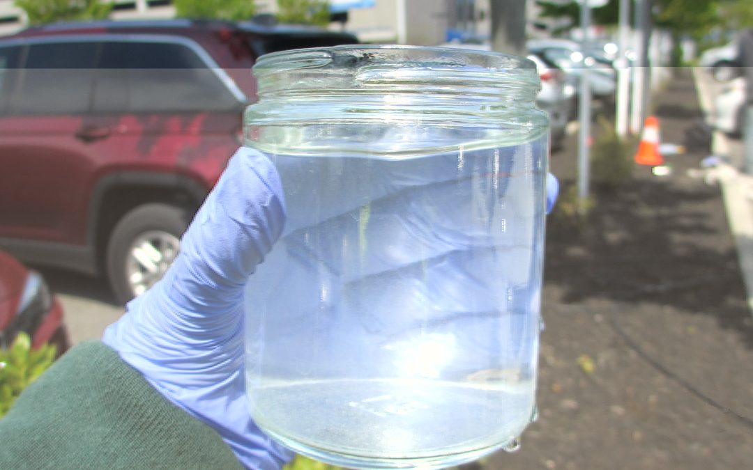 A Guide to PFAS Reporting Requirements