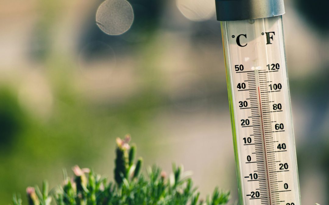 Proposed Heat Injury and Illness Prevention Rule for 2025
