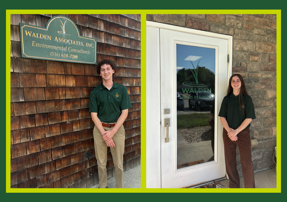 Walden Intern Spotlight: Summer 2026